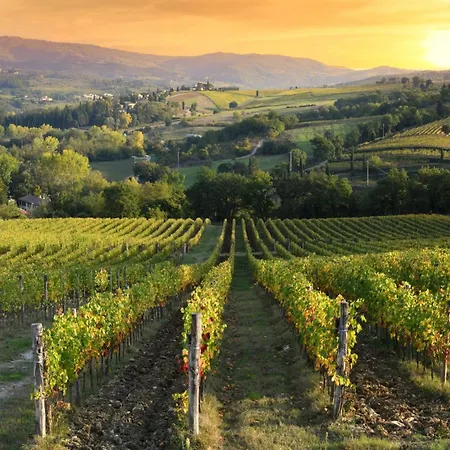 Vigna Amazing Site Chianti Classico - Happy * Strada in Chianti