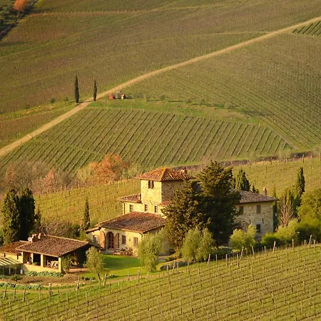 Apartamento Vigna Amazing Site Chianti Classico - Happy *