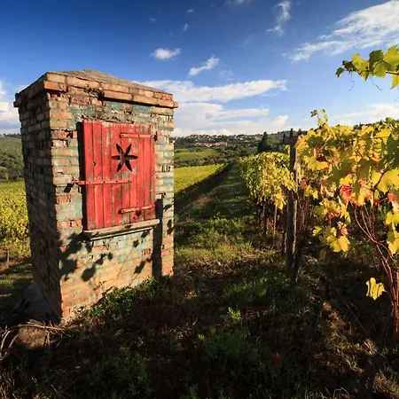 Vigna Amazing Site Chianti Classico - Happy Strada in Chianti