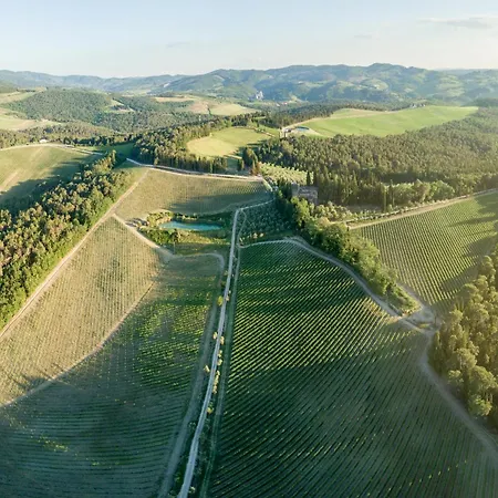 Vigna Amazing Site Chianti Classico - Happy